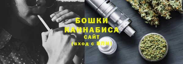 шишки Балабаново