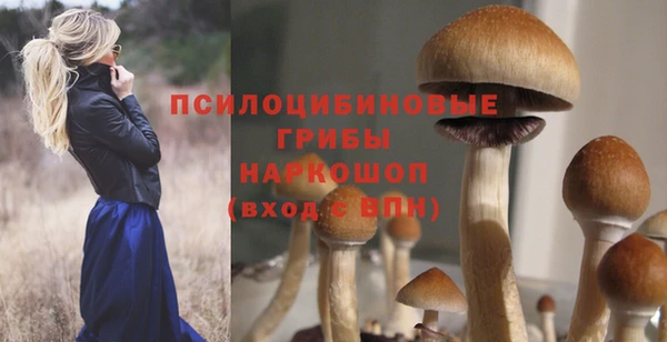 спиды Балахна