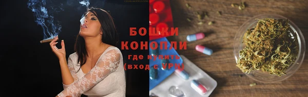 шишки Балабаново
