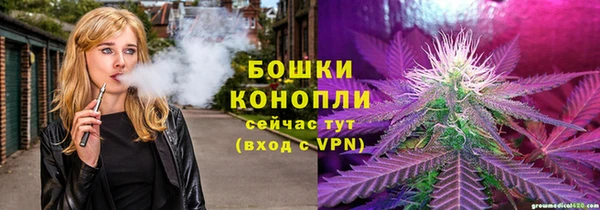 шишки Балабаново